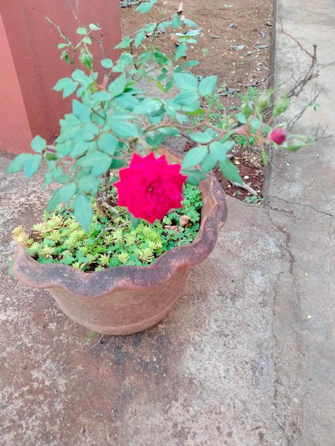 Yelagiri Ram Cottage @Home With Kitchenette Full Exterior photo